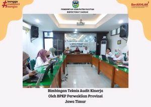 Bimbingan Teknis Audit Kinerja